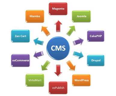 CMS Web Development Company in Chandigarh