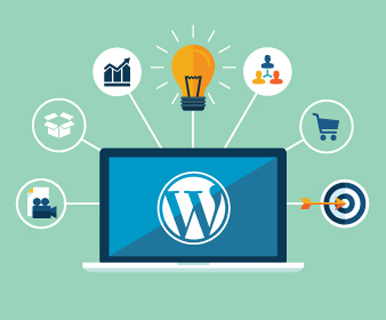 Wordpress Development Company in Faridabad