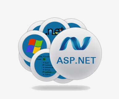 ASP.net Web Development Company in New Delhi