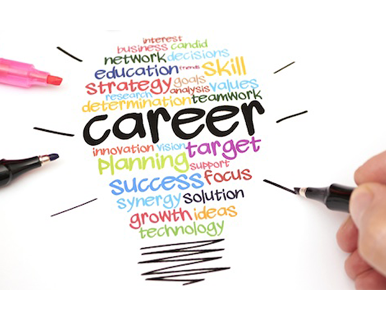 Career With SD Web Solutions
