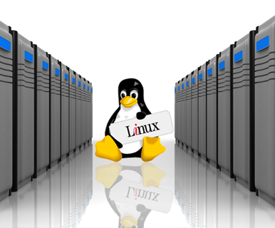 Linux Hosting Service Provider in Noida